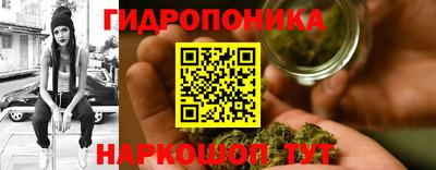 молекула духа Чебоксары