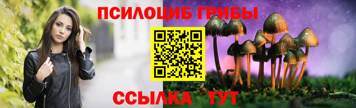 Псилоцибиновые грибы мицелий  Вход с VPN  Серпухов 